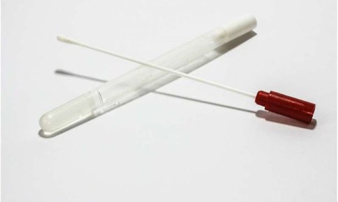 Ph&#225;t triển hai phương ph&#225;p x&#233;t nghiệm COVID-19 nhanh đ&#225;ng tin cậy