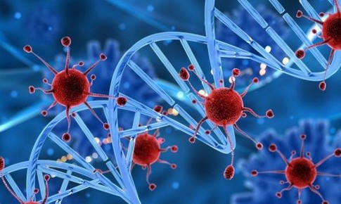 Bí quyết để ung thư không phải là dấu chấm hết