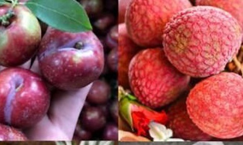 Ăn hoa quả nhiều lại tăng cân vì sao?