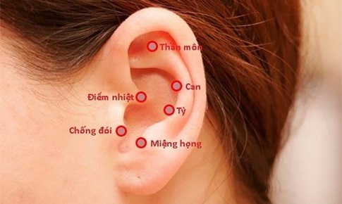 Xoa tai cải thiện chứng sa s&#250;t tr&#237; tuệ