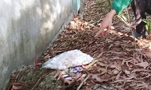 Vụ 300 xác thai nhi chôn ở bãi rác:  Giám đốc Sở  Y tế Cà Mau làm tổ trưởng kiểm tra mẫu vật