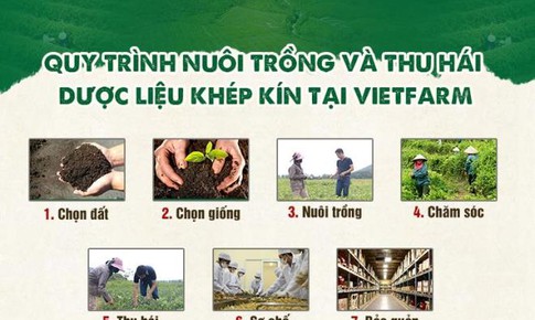 Dược liệu Vietfarm: Đơn vị cung ứng dược liệu chất lượng