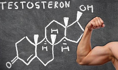 Testosteron, kh&#244;ng thể d&#249;ng bừa...