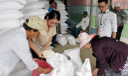 Xuất cấp gạo cho 4 tỉnh dịp Tết Nguy&#234;n đ&#225;n