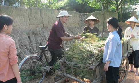 Văn học về n&#244;ng th&#244;n, giấc ngủ đ&#244;ng qu&#225; d&#224;i