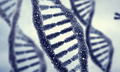Phát hiện gene giúp điều trị bệnh Alzheimer