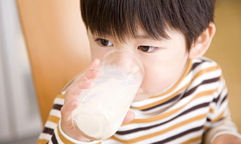 Hormon giới t&#237;nh trong thịt v&#224; sữa