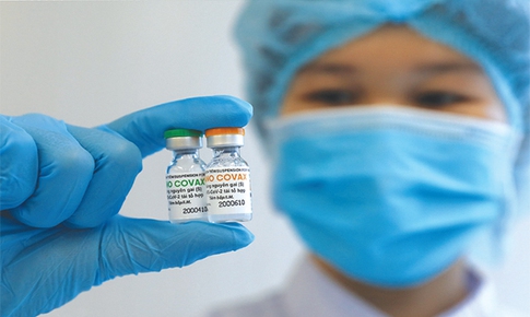 Nghiên cứu trong y học: Cá ngược dòng tìm  vũ môn nơi đầu suối