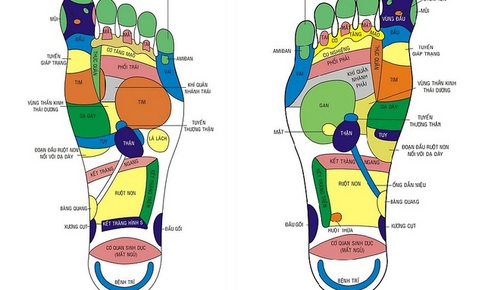 Xoa b&#243;p b&#224;n ch&#226;n  trị bệnh v&#224; n&#226;ng cao sức khỏe