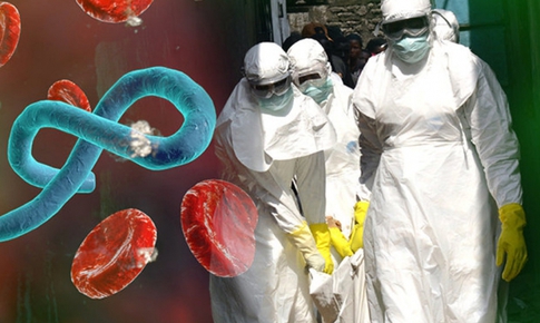 Dịch Ebola diễn biến phức tạp, Bộ Y tế họp đ&#225;nh gi&#225; nguy cơ