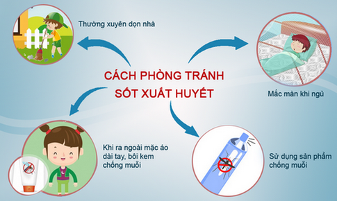 Sốt xuất huyết có xu hướng gia tăng, Bộ Y tế chỉ cách phòng bệnh hiệu quả