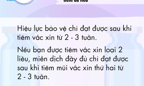 [Inforaphic] Sự thật về vắc xin ph&#242;ng COVID-19