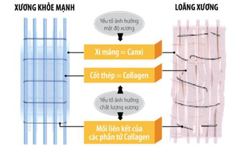 Canxi n&#224;o tốt, an to&#224;n hiệu quả