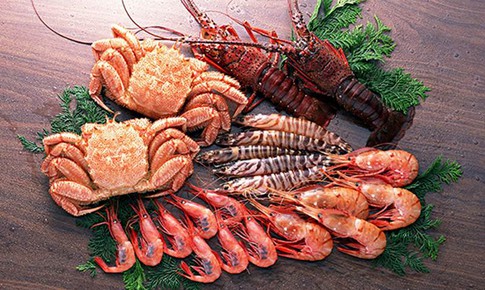 Sai lầm thường gặp của mẹ khi tăng chiều cao cho con