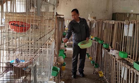 H&#224;nh tr&#236;nh 4 năm chống chọi với bệnh ung thư phổi