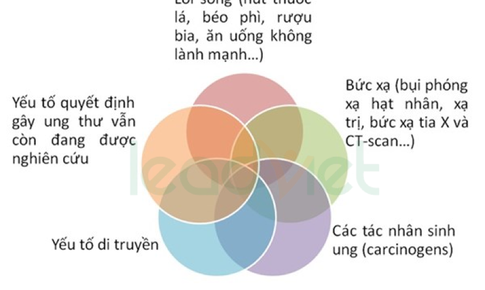 Ung thư - c&#243; thể ph&#242;ng ngừa?