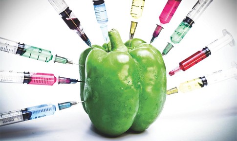 Thực phẩm 100% non-GMO là gì và vì sao nên chọn loại thực phẩm này cho bé?