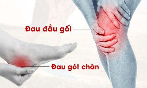 L&#243;t gi&#224;y y khoa Spenco hỗ trợ trị đau g&#243;t ch&#226;n v&#224; đầu gối