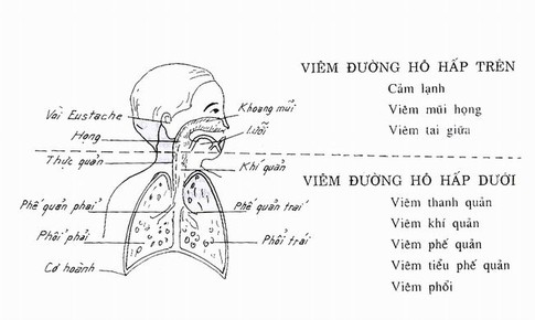 Tăng đề kh&#225;ng cho trẻ khi giao m&#249;a bằng nấm men