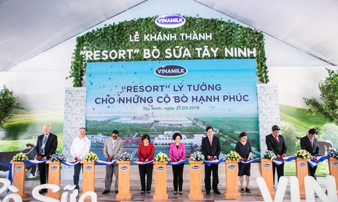 Vinamilk sở hữu hệ thuống trang trại b&#242; sữa chuẩn Global G.A.P lớn nhất ch&#226;u &#193;