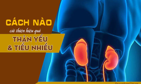 Gợi &#253; giải ph&#225;p cho qu&#253; &#244;ng yếu thận, thiếu tinh binh, tiểu đ&#234;m