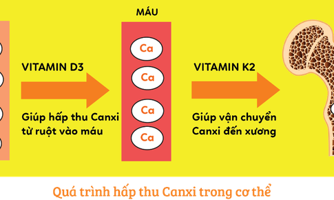 Vi&#234;n Canxi K2 Moringa c&#243; thật sự cải thiện thấp c&#242;i?