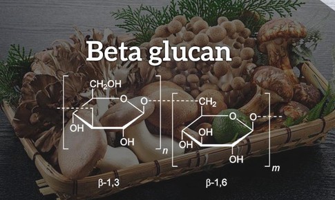 Hoạt chất “v&#224;ng” gi&#250;p tăng cường hệ miễn dịch ph&#242;ng ngừa dịch bệnh nCoV