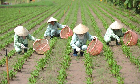 T&#236;m lối tho&#225;t cho “cơn &#225;c mộng” đi tiểu nhiều lần về đ&#234;m