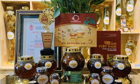 Tăng cường sức đề kháng, hỗ trợ phòng dịch từ Sâm ngọc Linh