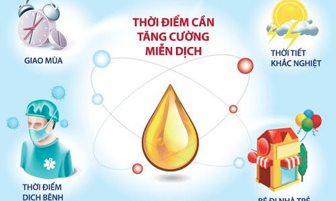 2 dưỡng chất then chốt cho hệ miễn dịch khỏe mạnh, l&#224;nh t&#237;nh