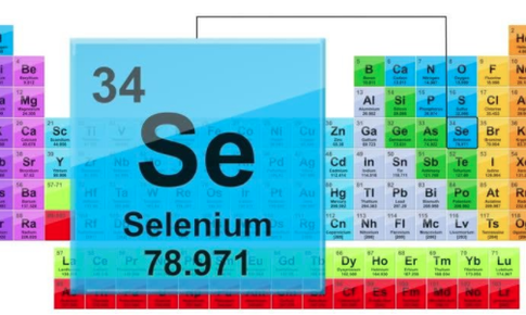 07 lợi &#237;ch đ&#227; được chứng minh của selen – vi chất cho miễn dịch khoẻ
