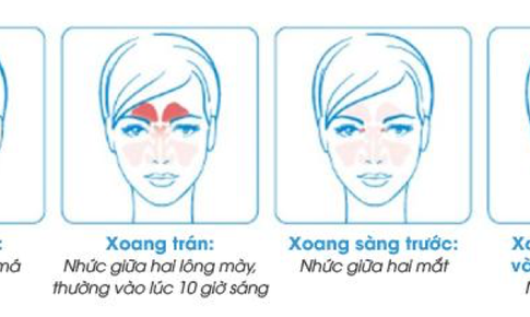 Học cách bảo vệ mũi cho bé cưng và cả nhà