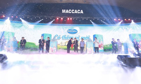 Hé lộ 4 dòng sản phẩm sữa hạt mắc ca vừa được ra mắt