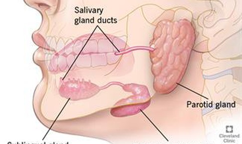 Vi&#234;m tuyến nước bọt do răng: Nguy&#234;n nh&#226;n v&#224; giải ph&#225;p điều trị