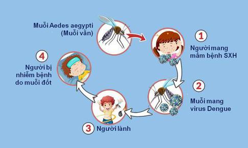 Kh&#244;ng n&#234;n xem nhẹ dịch bệnh sốt xuất huyết v&#224; c&#225;c bệnh do muỗi g&#226;y ra