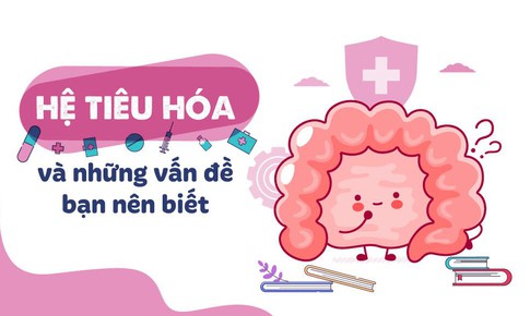 Hệ ti&#234;u h&#243;a v&#224; những vấn đề cần biết