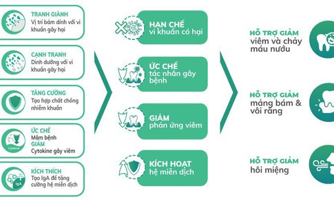 Men vi sinh nha khoa - Giải ph&#225;p mới cho bệnh vi&#234;m nha chu