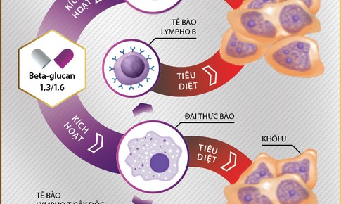 Beta-glucan tăng cường miễn dịch: v&#224;ng thau lẫn lộn che mắt người d&#249;ng