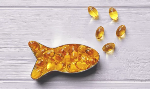 Tầm quan trọng của Omega 3 đối với tr&#237; tuệ v&#224; sức khỏe