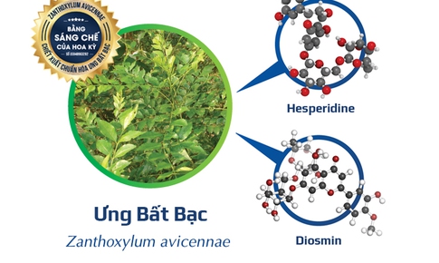 Cơ hội d&#224;nh cho người mắc bệnh gan từ nghi&#234;n cứu khoa học về dược liệu qu&#253; ng&#224;n năm Ưng bất bạc