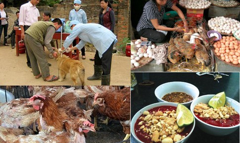 Cảnh b&#225;o dịch bệnh truyền nhiễm l&#226;y lan dịp Tết v&#224; m&#249;a lễ hội 2019