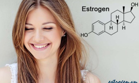 Estrogen gi&#250;p g&#236; cho phụ nữ?