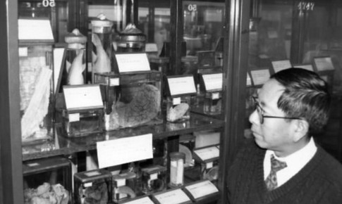 Tìm kiếm khoa học từ thi thể nạn nhân trong thảm họa bom nguyên tử Hiroshima