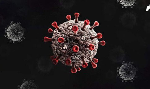 Biến thể - biến chủng virus l&#224; g&#236;?