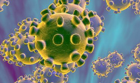 Nhà virus học Nga chỉ ra cơ chế xâm nhập “đặc biệt” của Coronavirus