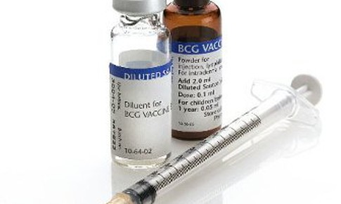 Tử vong do COVID-19 giảm 6 lần ở c&#225;c quốc gia sử dụng vắc-xin BCG ph&#242;ng lao