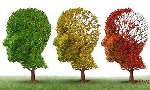 Thuốc ph&#243;ng xạ mới gi&#250;p chẩn đo&#225;n bệnh Alzheimer