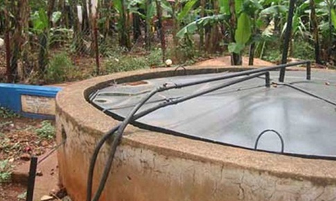 L&#224;o Cai:Xuống bể biogas kiểm tra, hai người tử vong v&#236; ngạt kh&#237;