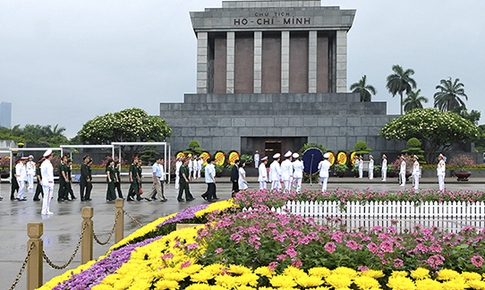 Những b&#244;ng hoa trong vườn B&#225;c