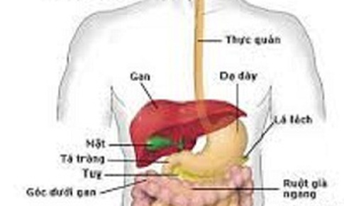 C&#225;ch ph&#225;t hiện sớm ung thư đường ti&#234;u h&#243;a